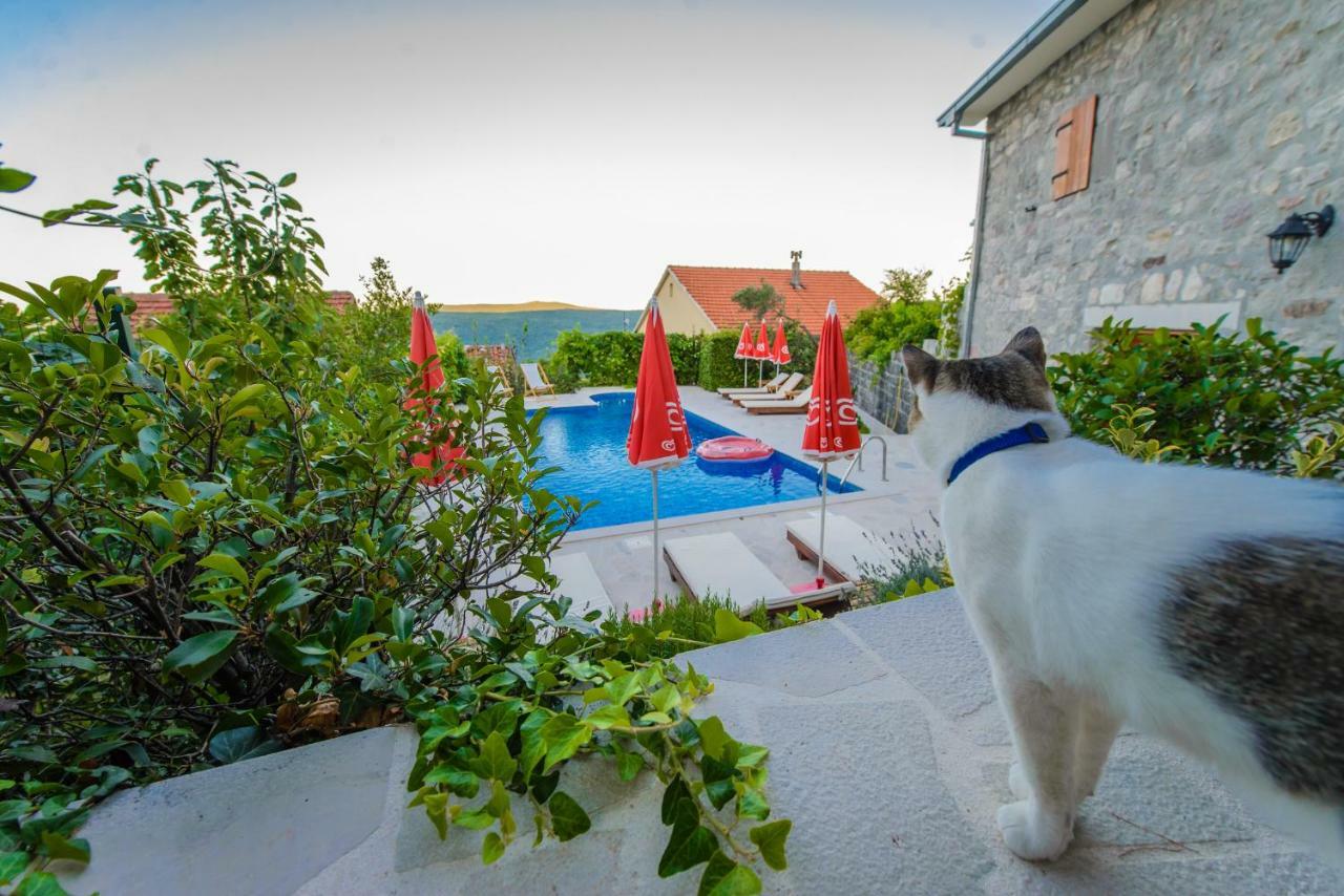 Mediteraneo Villa Kaluderovici Экстерьер фото